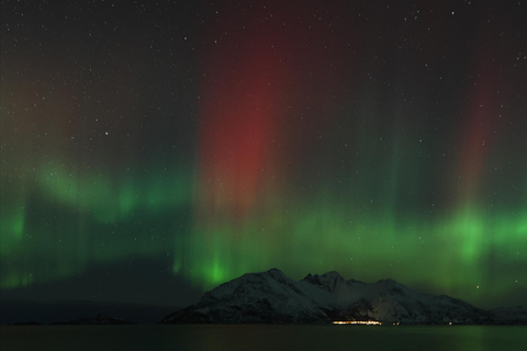 Tromsø: Northern Lights tour with local experts