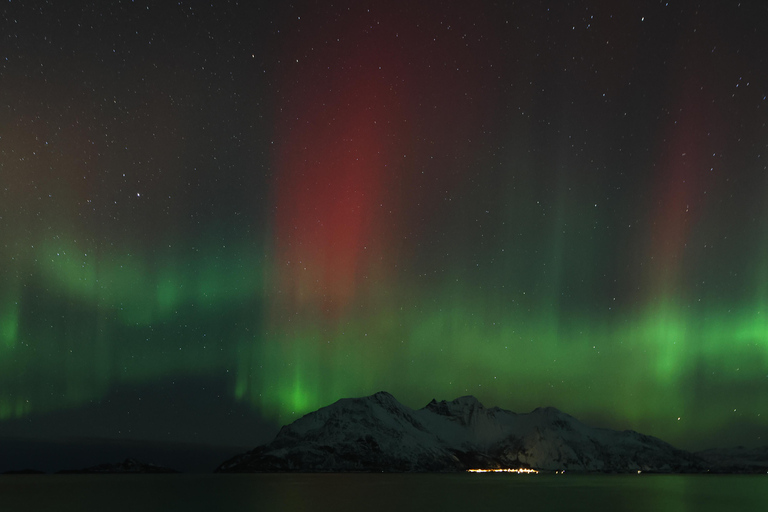 Tromsø: Northern Lights tour with local experts