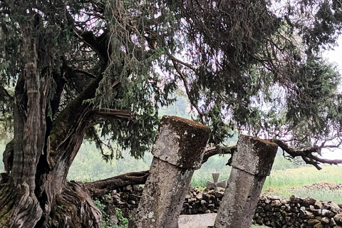 Lalibela Kirchen Ganztagestour & Halbtageswanderung nach Asheten