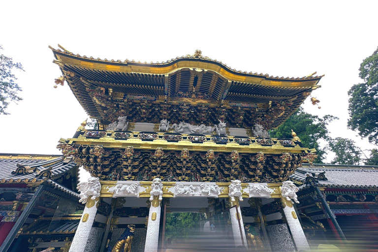 Excursion d&#039;une journée dans la ville de Nikko en voiture privée ou en van
