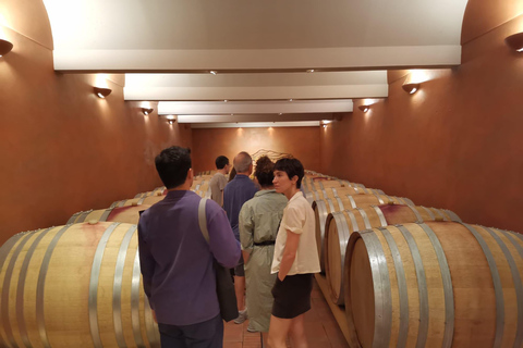 From Aix en Provence: Half-day Wine Tour in Provence Standard Option