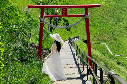 Small Group Day Tour:Omuro Mountain & the Izu Scenic Railway Hotel Transfer Option