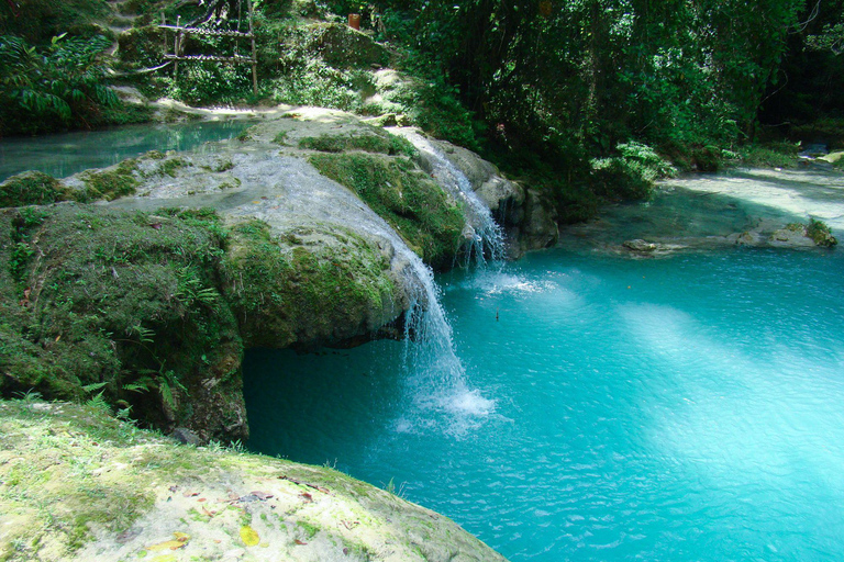 Montego Bay: Blue Hole, Secret Falls, and Dunn's River Tour