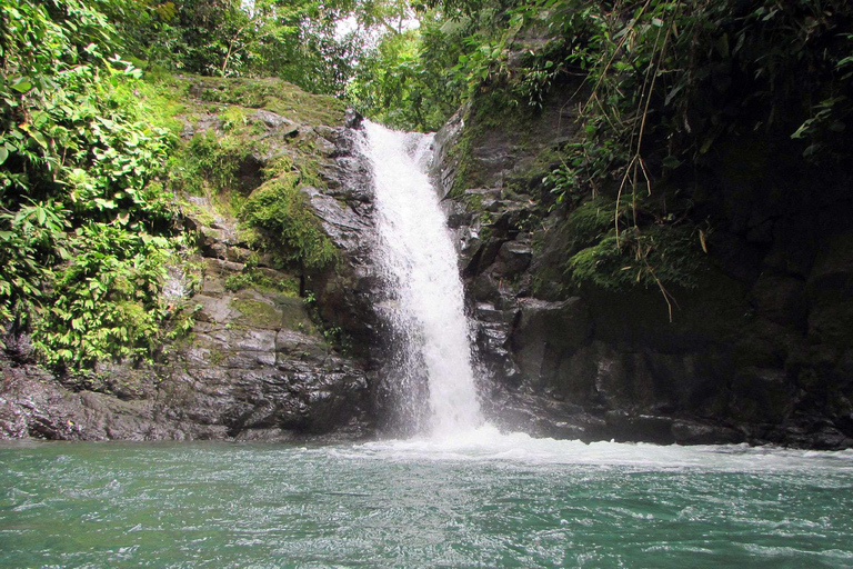 COSTA RICA:UPPTÄCK COSTARICAS VILDA DJUR-STRAND &amp; SKOG 2VECKOR