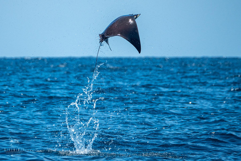 Puerto Escondido: Family Private Boat Tour