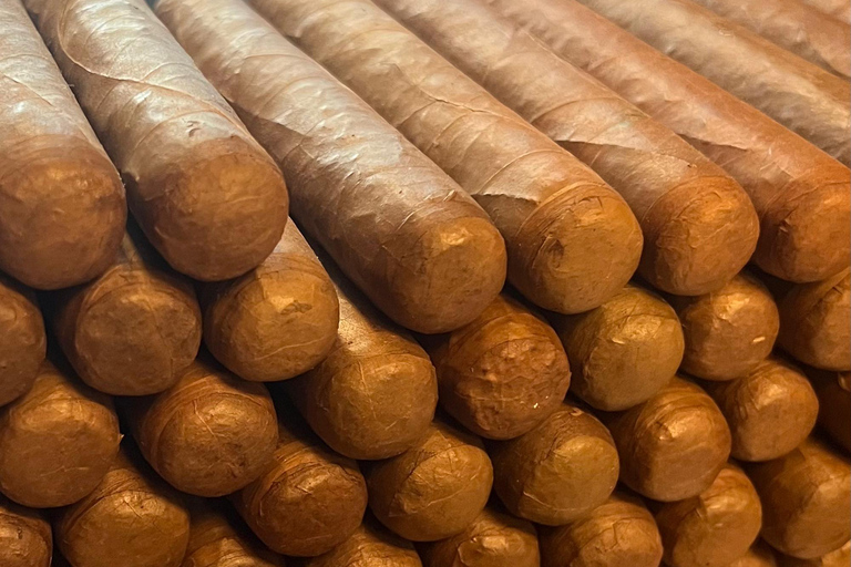 Rum, Cigars and Pirates in Puerto Plata Premium Version