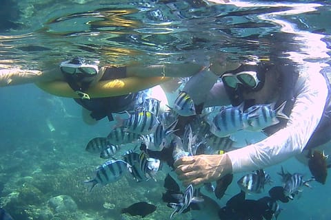 Bali: Blue Lagoon Snorkeling & Go-Kart On Private Tour