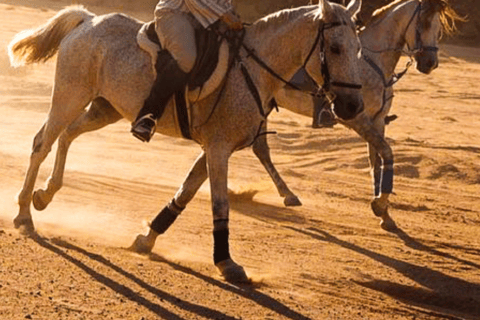 Al-Ula: escursioni a cavallo con guidaEquitazione ad Al Ula (Al Wahah Road)