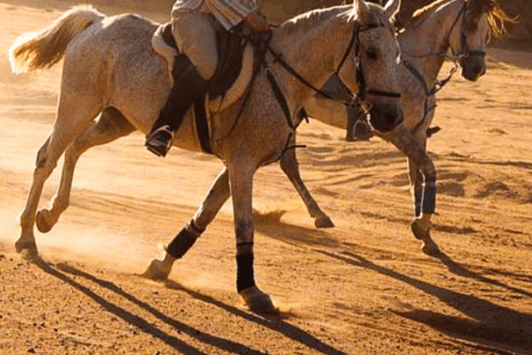 Al-Ula: escursioni a cavallo con guidaEquitazione ad Al Ula (Al Wahah Road)