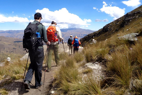 Från Ancash: Vandring till Churup-lagunen Hel dag Privat