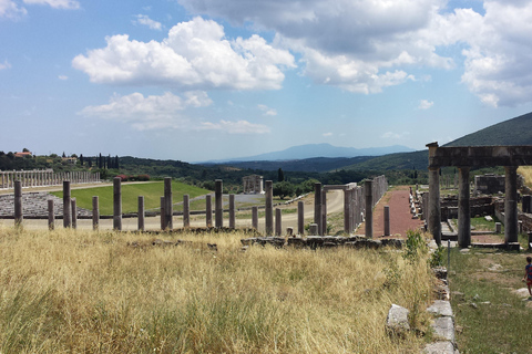 Private Tagestour von Kalamata zum antiken MessenePrivate Tour zum antiken Messene von Kalamata aus.