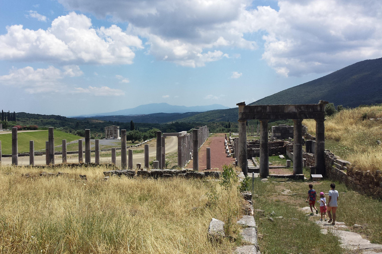 Private Tagestour von Kalamata zum antiken MessenePrivate Tour zum antiken Messene von Kalamata aus.