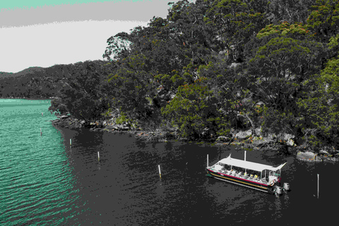 Shell to Showroom - Sydney's only Pearl Farm Experience