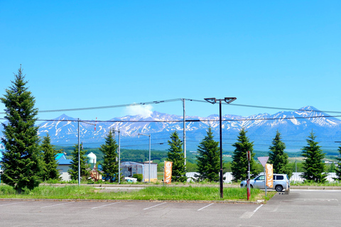 Hokkaido Small-Group Tour: Ningle Terrace Lights & Blue Pond Fixed Meeting Point: Sapporo Tokyu REI Hotel Lobby