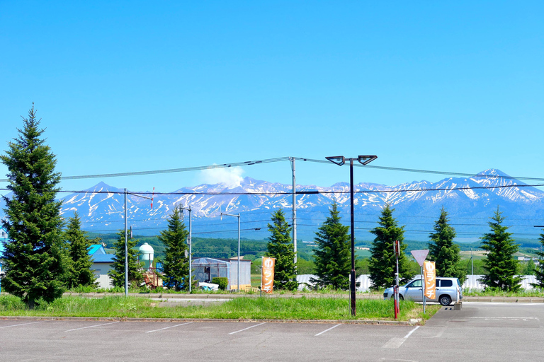 Hokkaido Small-Group Tour: Ningle Terrace Lights & Blue Pond Fixed Meeting Point: Sapporo Tokyu REI Hotel Lobby