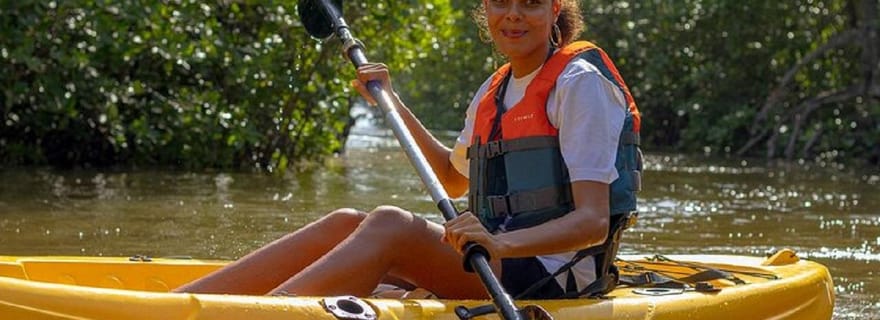 Aventure dans la mangrove de Mida Creek avec observation des oiseaux