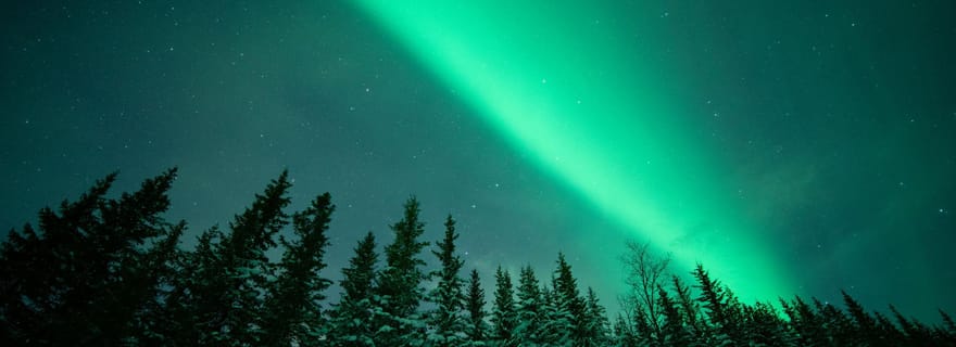 Levi : chasse aux aurores boréales en pleine nature