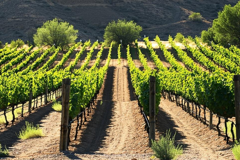From Phoenix: Vortex to Vineyard Shared Tour Private Group 1-5