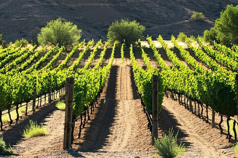 From Phoenix: Vortex to Vineyard Shared Tour Private Group 1-5