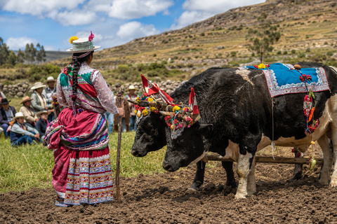Arequipa to Puno: Colca Canyon & Chivay Community Homestay