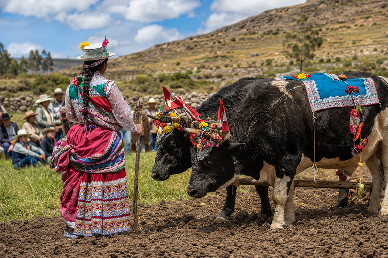 Arequipa to Puno: Colca Canyon & Chivay Community Homestay