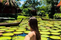 Phuket: Instagram-Cafés-Tour mit Hotelabholung