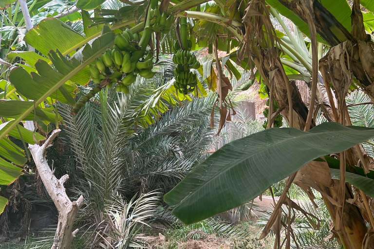 Muscat: Wadi Shab Hike and Bimmah Sinkhole Tour with Lunch Muscat: Wadi Shab Hike and Bimmah Sinkhole Tour with Lunch