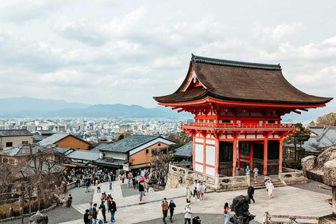 Kyoto/Osaka: Viagem de um dia aos locais e história de Kyoto e Nara