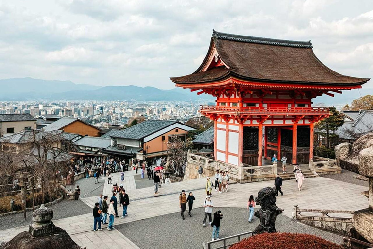 Kyoto/Osaka: Gita di un giorno a Kyoto e Nara, siti e storia