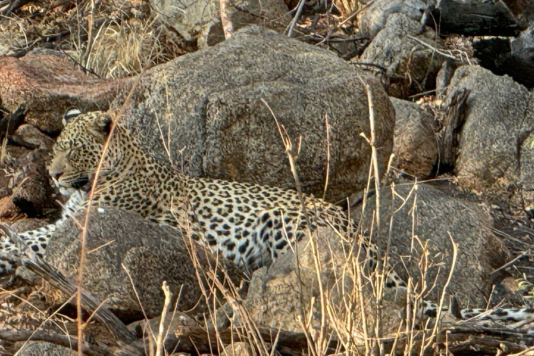 Vanuit Johannesburg: 6-daagse luxe Kruger Park safari