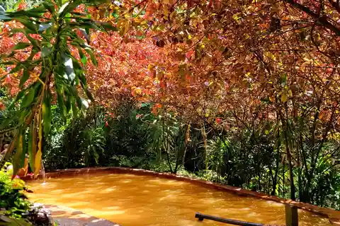 Dominica: Middleham Falls, Titou Gorge, and Trafalgar Falls…