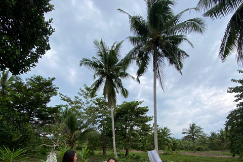 Parque de campismo Luyong Balai, a tua escapadela na natureza está à espera!