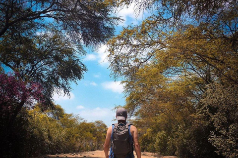 Pirâmides de Túcume e aventura no Bosque Pomac