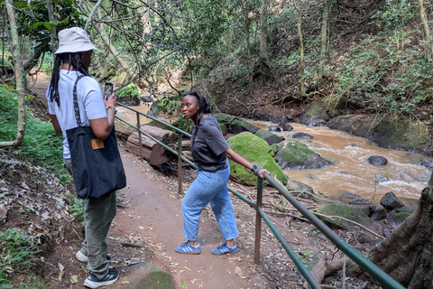 Karura Forest walking tour with nature and waterfalls.