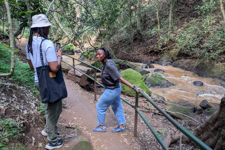 Karura Forest walking tour with nature and waterfalls.