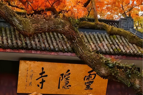 Hangzhou: Lingyin Temple & Feilaifeng Entry Ticket