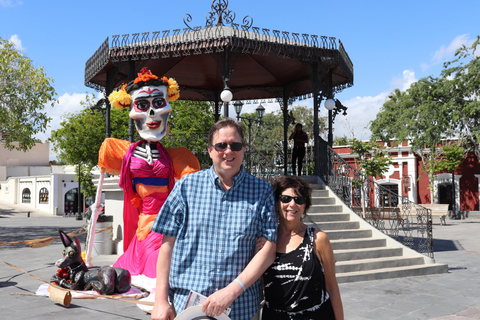 Cabo Encounter with Optional Clear Boat and Lunch