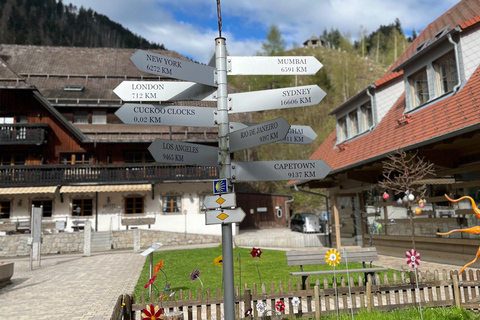 Vanuit Bazel: privé-excursie naar het Zwarte Woud, watervallen en meren