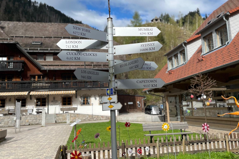 Vanuit Bazel: privé-excursie naar het Zwarte Woud, watervallen en meren