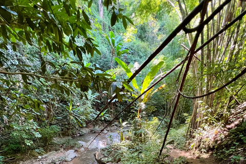 Chiang Mai 2-Day Adventure: Trekking, Tubing & Waterfalls 1-Night Jungle Stay - Trek, Tubing & Waterfall