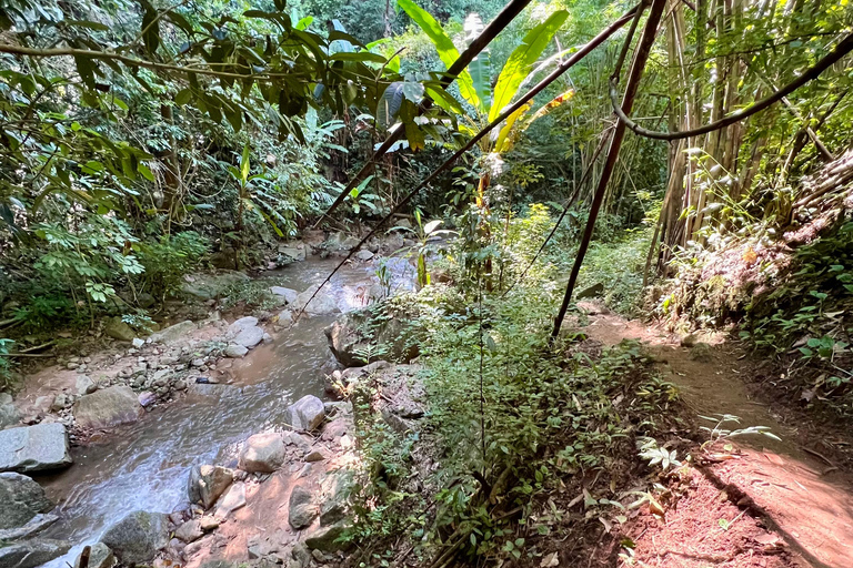 Chiang Mai 2-Day Adventure: Trekking, Tubing & Waterfalls 1-Night Jungle Stay - Trek, Tubing & Waterfall