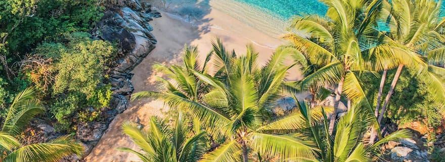 Puerto Vallarta : snorkeling sur des plages secrètes et tyrolienne