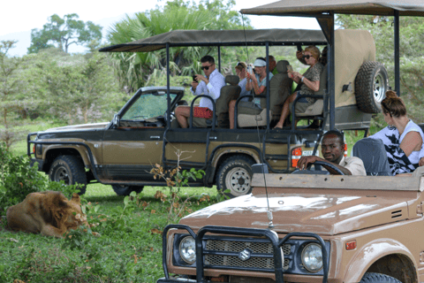 Depuis Zanzibar : Safari de nuit dans le Selous G.R. avec volssafari partagé