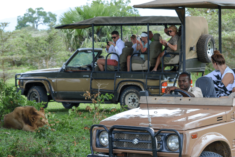 Vanuit Zanzibar: Selous G.R. safari met overnachting en vluchtengedeelde safari