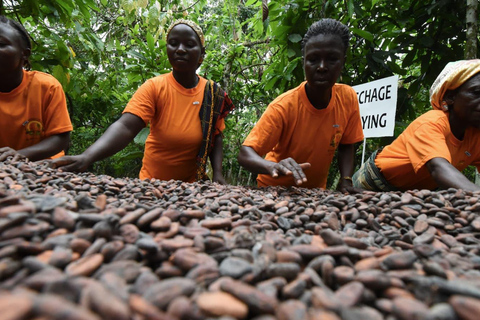 Accra: Ashanti Kingdom Day Trip with Roundtrip Flights