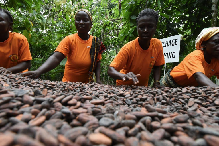 Accra: Ashanti Kingdom Day Trip with Roundtrip Flights