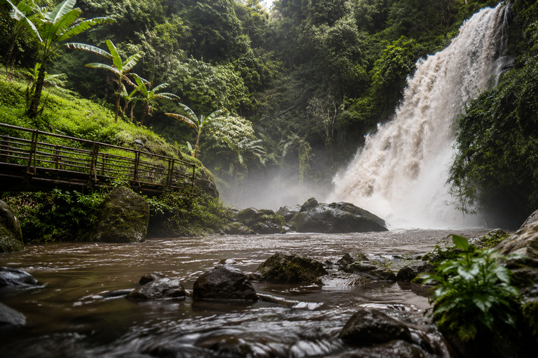 Chiang Mai: Doi Inthanon Tour & Pha Dok Siew Trail Trek Private Tour