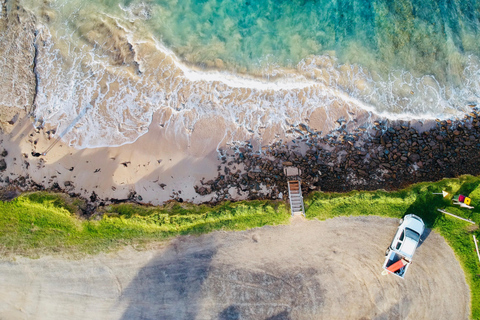 Desde Melbourne: Excursión guiada de un día a Great Ocean Road