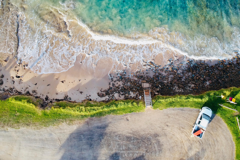 Melbourne: Tour di un giorno sulla Great Ocean Road con autista bilingue