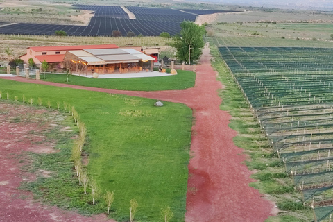 Magie du vin et culture religieuse en Arménie : Des sanctuaires aux vignobles